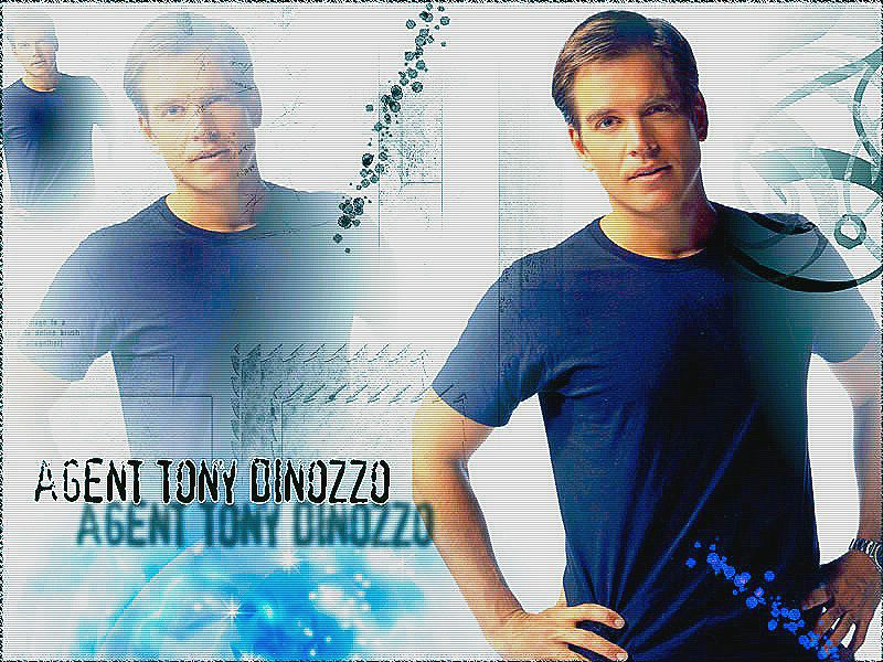Antony Dinozzo fond ecran Antony Dinozzo
