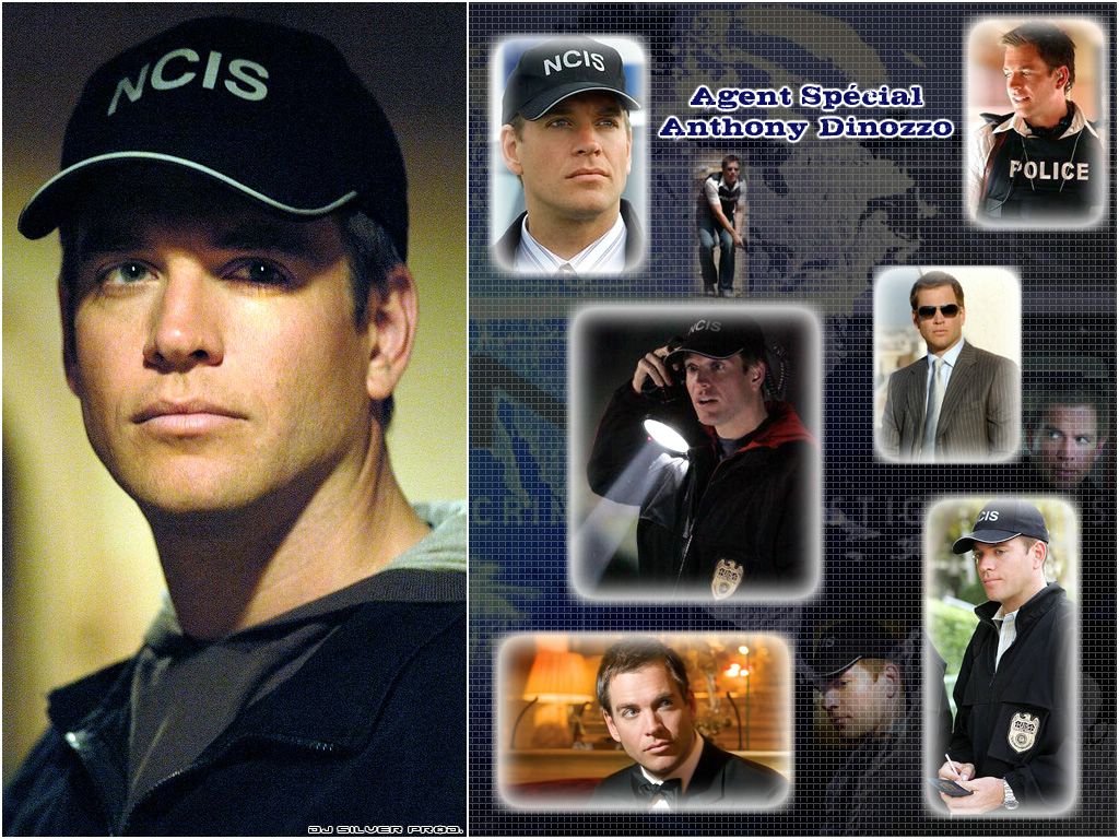 NCIS: Dinozzo fond ecran NCIS: Dinozzo
