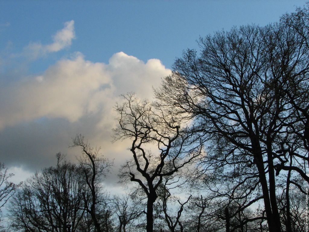 Nuages fond ecran Nuages