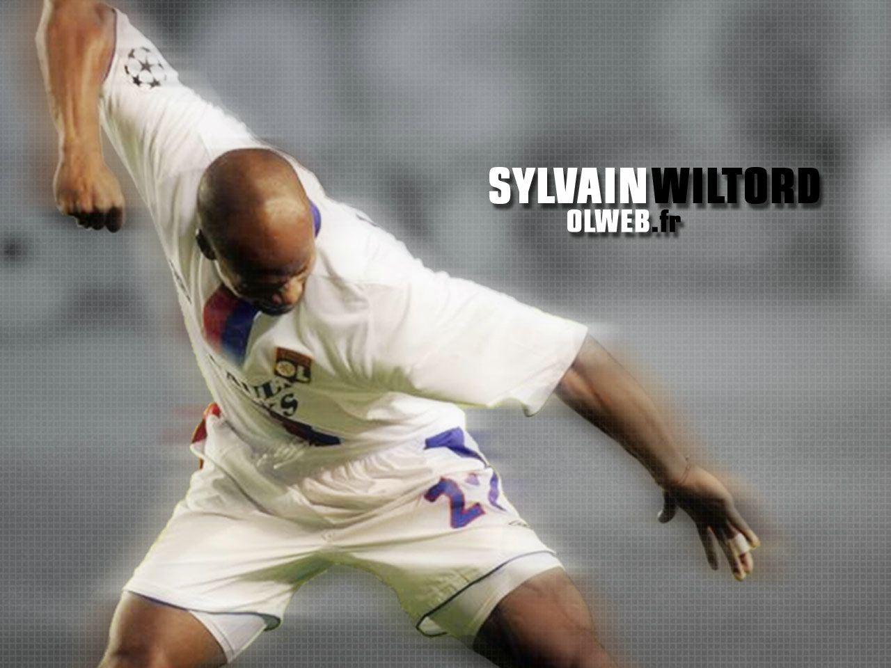 Olympique Lyonnais : Sylvain Wiltord fond ecran Olympique Lyonnais : Sylvain Wiltord