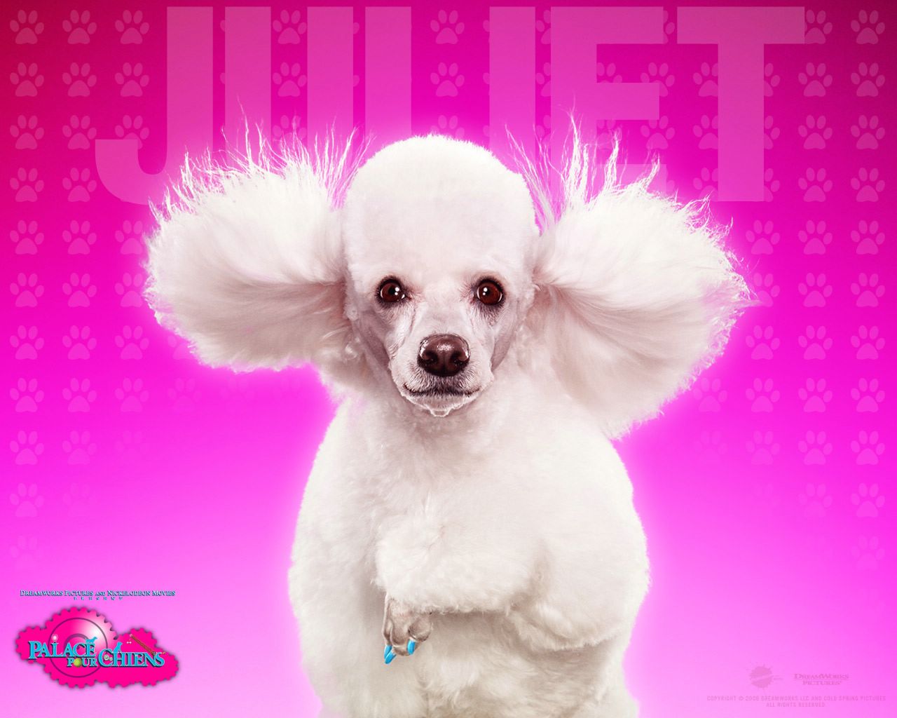 Palace pour chiens: Juliet fond ecran Palace pour chiens: Juliet