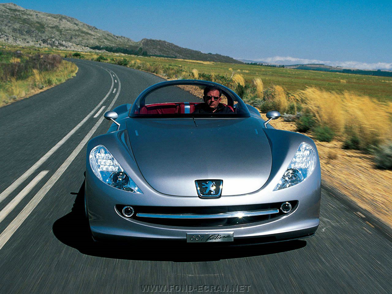 peugeot 607 feline fond ecran peugeot 607 feline