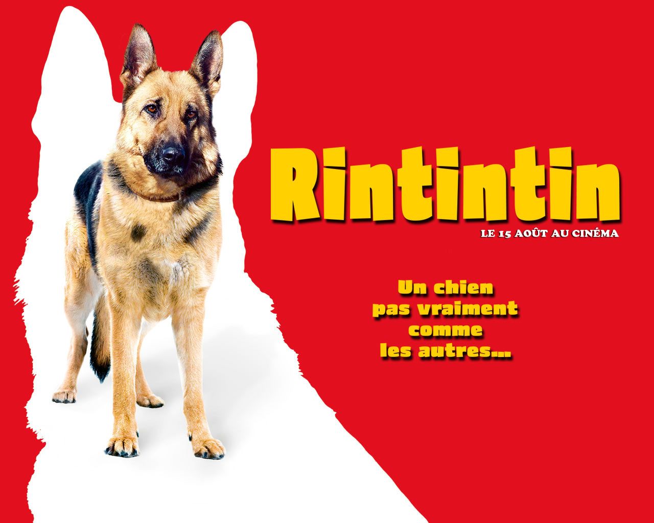 Rintintin fond ecran Rintintin