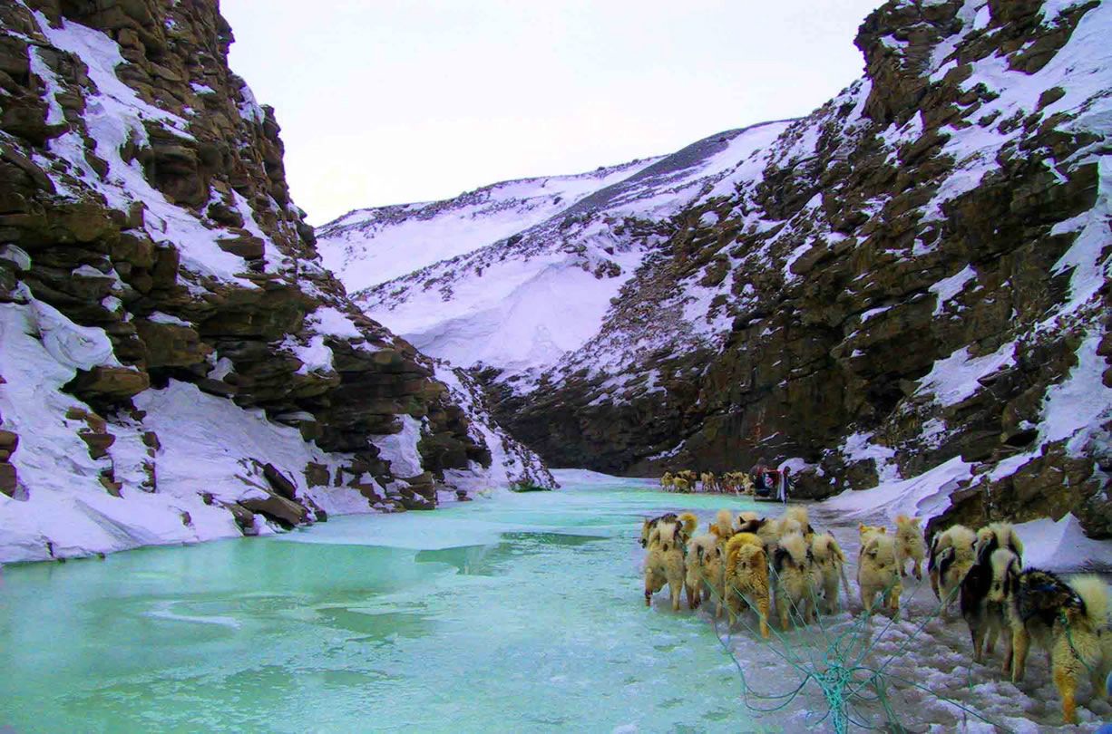 Rivière gelée fond ecran Rivière gelée