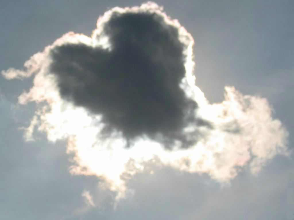Saint Valentin fond ecran Saint Valentin