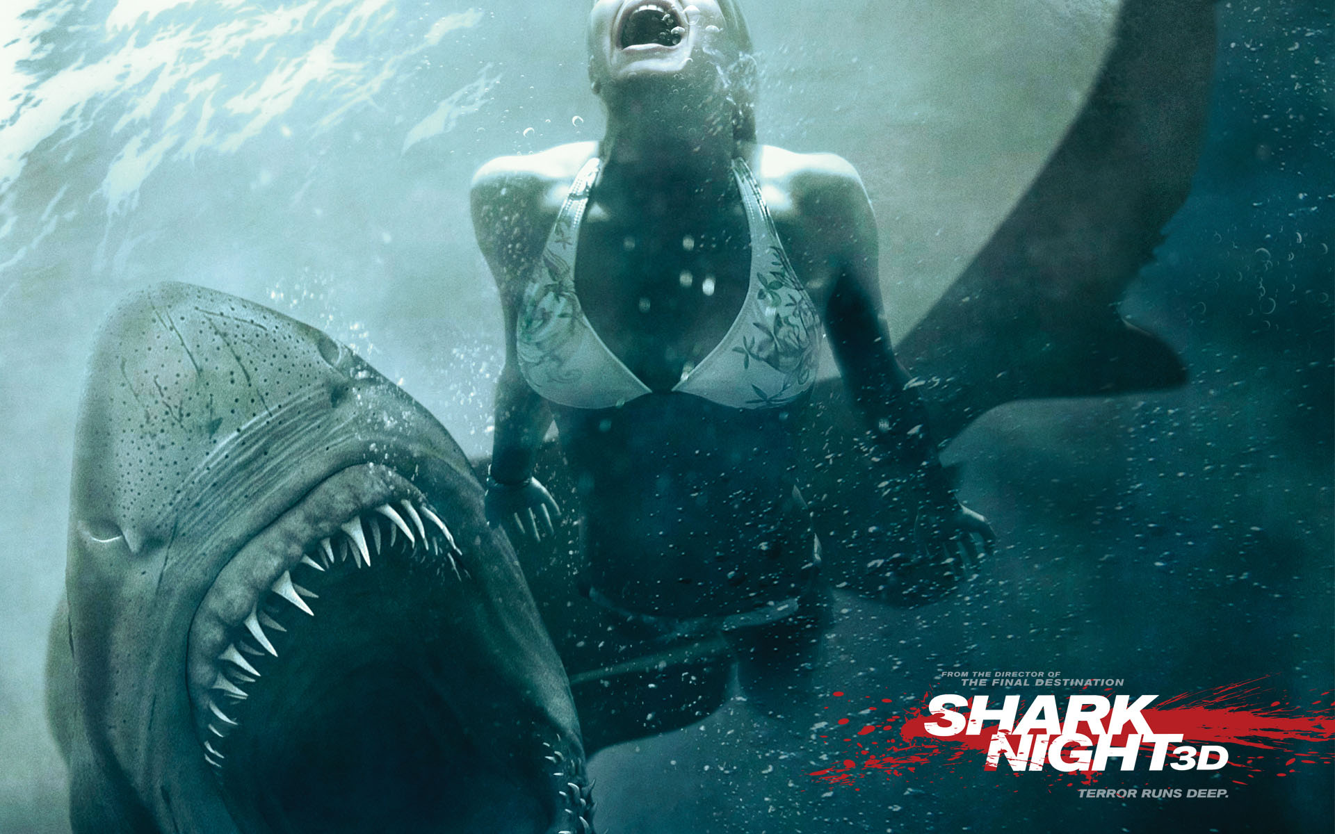 Shark 3D : Affiche fond ecran Shark 3D : Affiche