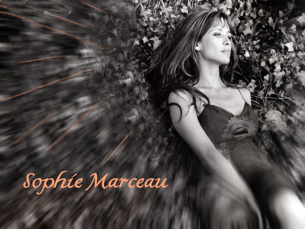 Sophie Marceau fond ecran Sophie Marceau