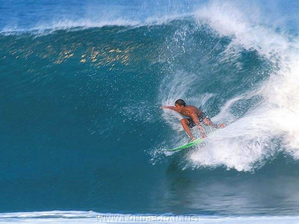 surf fond ecran surf
