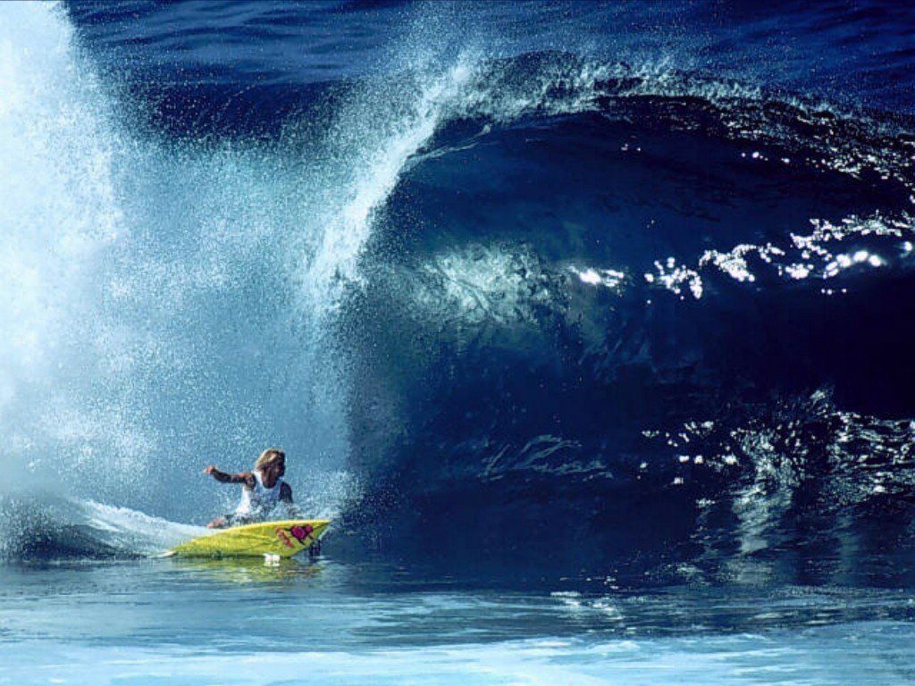 surf fond ecran surf