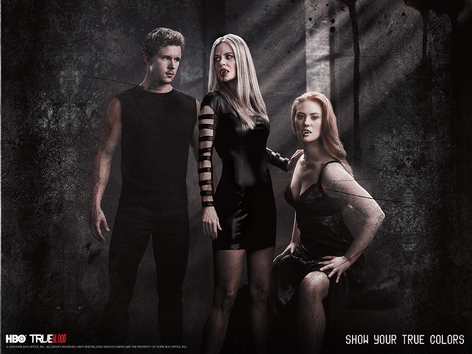 True Blood fond ecran True Blood