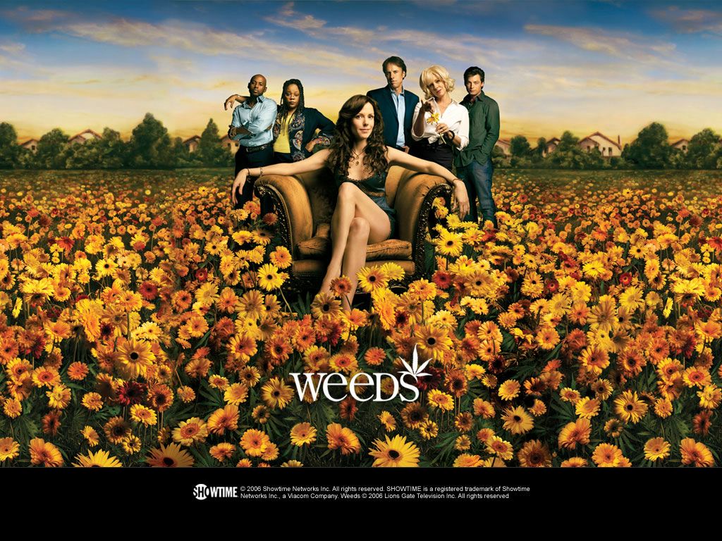 Weeds fond ecran Weeds