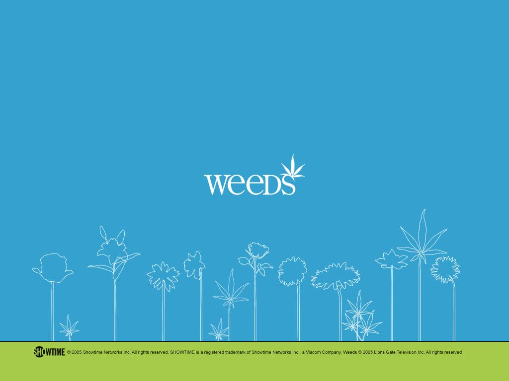 Weeds fond ecran Weeds