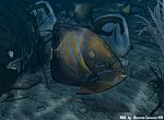 fond ecran  Poisson en 3D