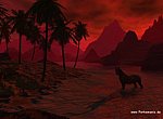 fond ecran Loup en 3D