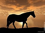 fond ecran  Cheval en 3D