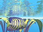 fond ecran  Poisson tropical en 3D
