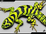fond ecran  Salamandre en 3D