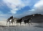 fond ecran  Chevaux en 3D