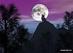 fond ecran  Loup en 3D