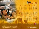 fond ecran Actu Animaux : abandons