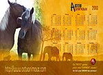 fond ecran Actu Animaux : chevaux