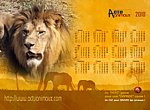 fond ecran Actu Animaux Sauvages