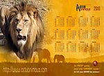 fond ecran Actu Animaux Sauvages