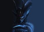 fond ecran  Alien vs Predator