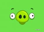 fond ecran  Angry Birds : Cochon