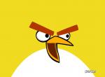 fond ecran  Angry Birds