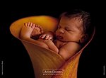 fond ecran  Anne Geddes: bébé arome