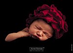 fond ecran  Anne Geddes: bébé fleur