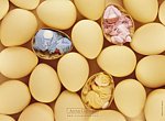fond ecran  Anne Geddes: bébés coquilles d'oeufs