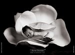 fond ecran  Anne Geddes: bébé en noir et blanc