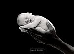 fond ecran  Anne Geddes: nouveau né