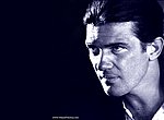 fond ecran  Antonio Banderas