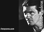 fond ecran  Antonio Banderas