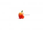 fond ecran  Logo Apple vraie pomme