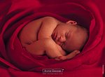 fond ecran Anne Geddes : bébé dort