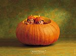 fond ecran  Anne Geddes : bébés citrouille