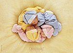 fond ecran  bébés