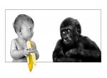 fond ecran  Bébé et un Singe