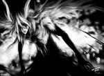 fond ecran  Bleach