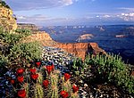 fond ecran  canyon