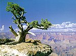 fond ecran  canyon