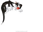 fond ecran  Gros Minet