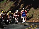 fond ecran  cyclisme