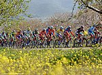 fond ecran  Vuelta 2006