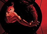fond ecran  DareDevil