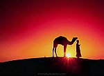 fond ecran  desert